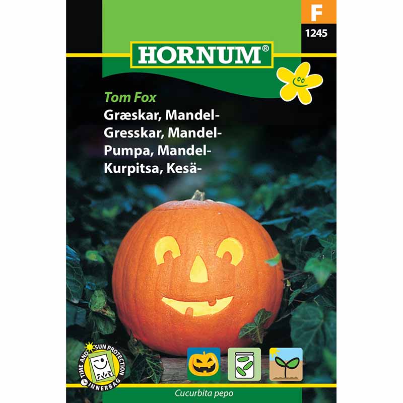 Öljykurpitsa 'Tom Fox'