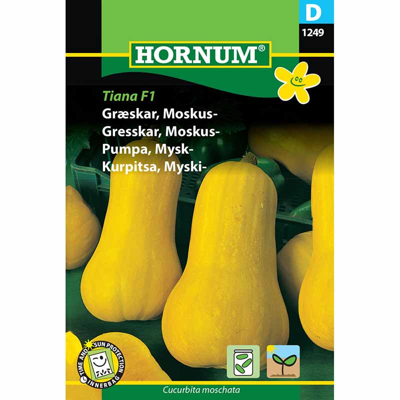 Myskikurpitsa 'Tiana' F1