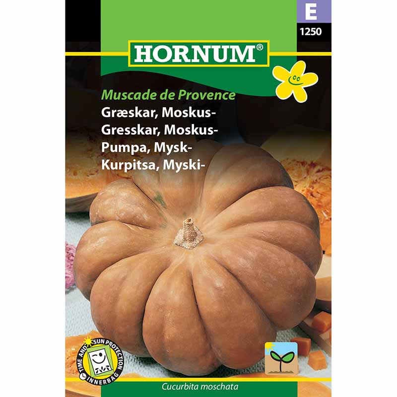 Myskikurpitsa 'Muscade de Provence'