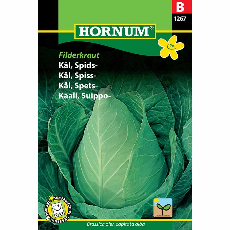 Suippokaali 'Filderkraut'