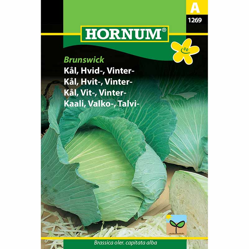 Valkokaali 'Golden Acre'