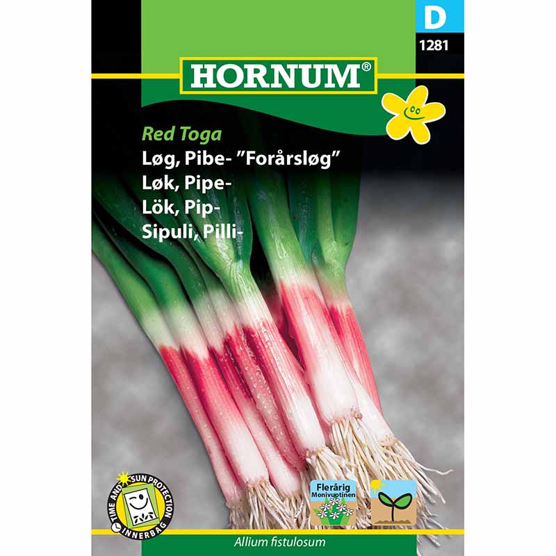 Pillisipuli 'Red Toga'