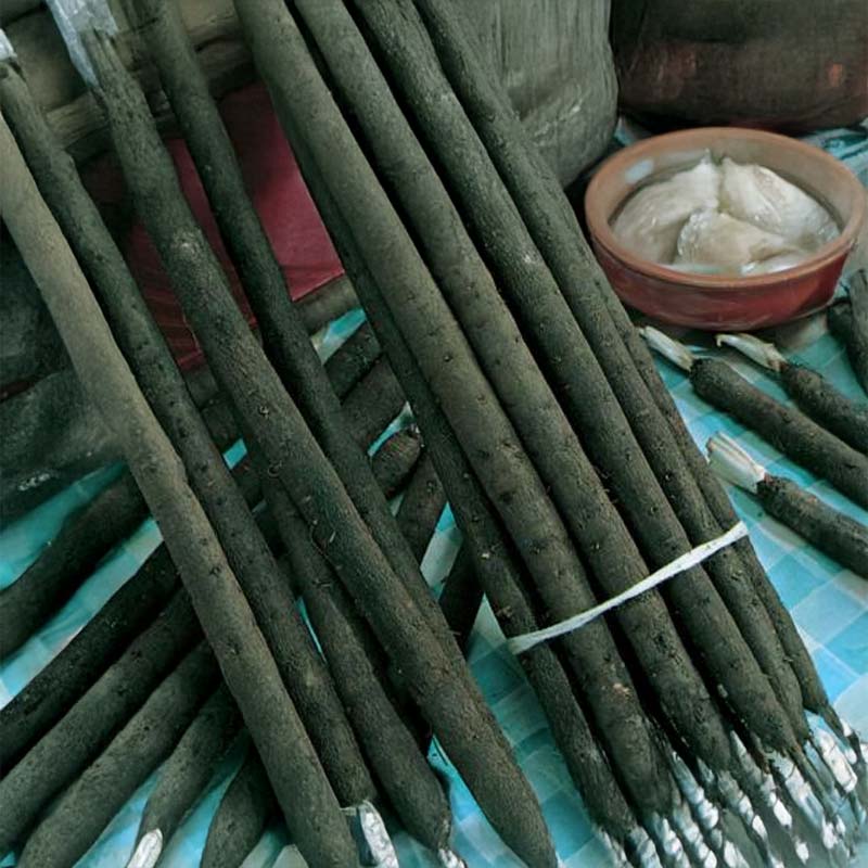 Mustajuuri 'Hoffmanns schwarzer Pfahl'