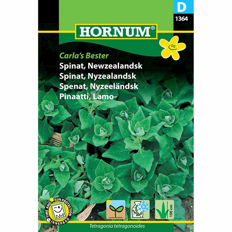 Uusiseelannin pinaatti 'Carlas Bester'