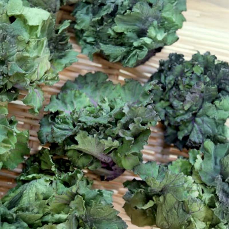 Ruusukaali 'Autumn Star' F1