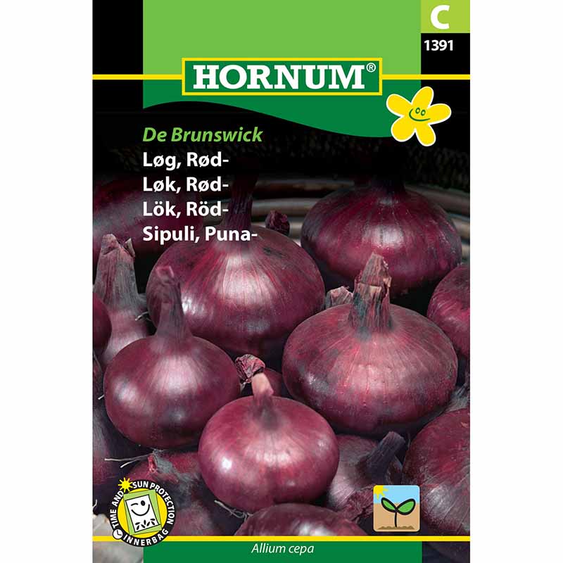Punainen sipuli 'Braunschweiger Dunkelblutrote'