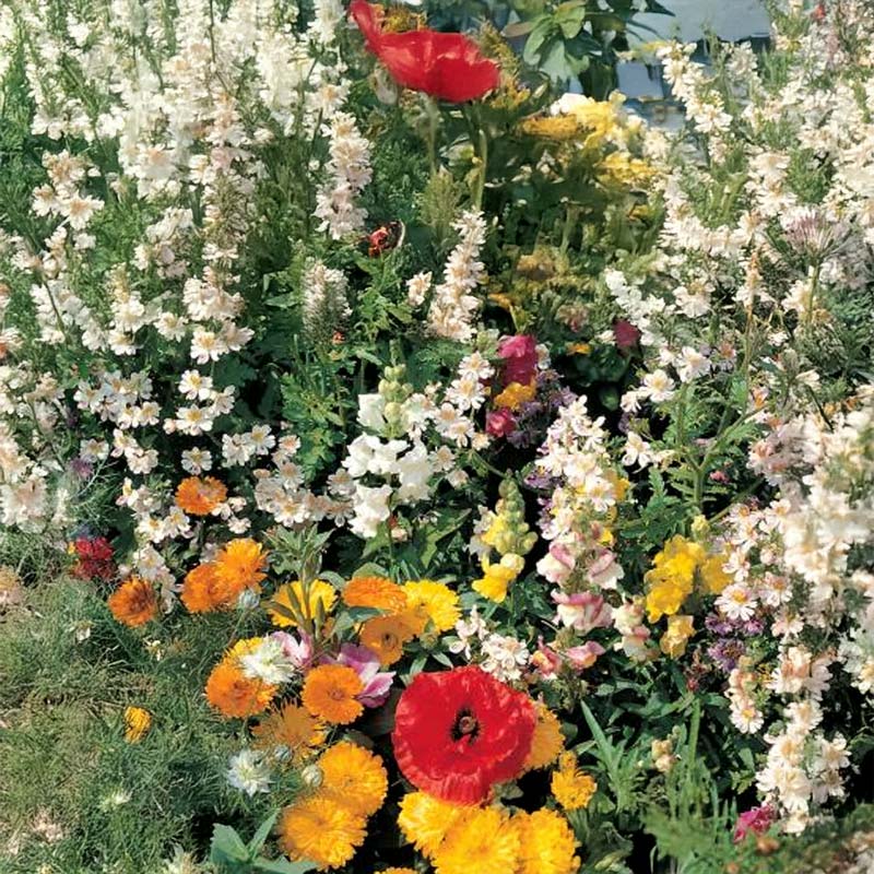 Kukkaseos Romantiikka