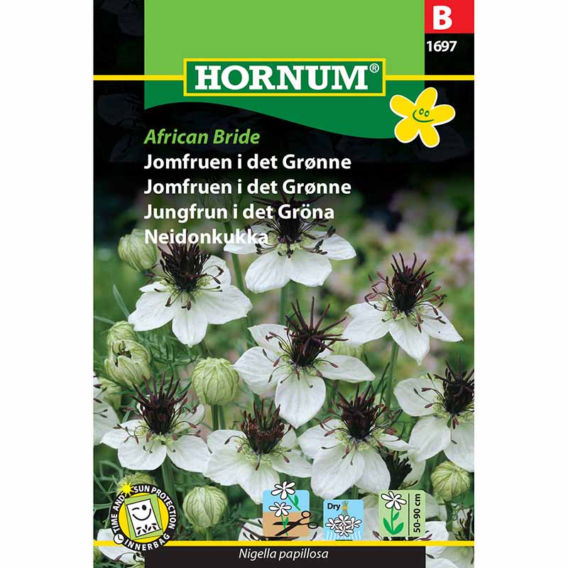 Neidonkukka 'African Bride'