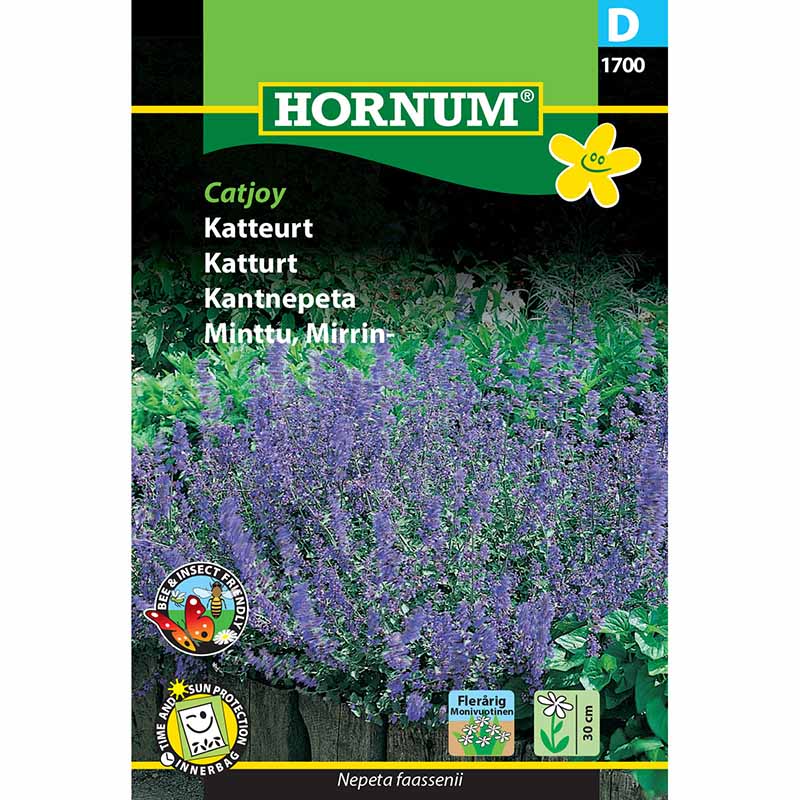 Kissanminttu 'Catjoy'