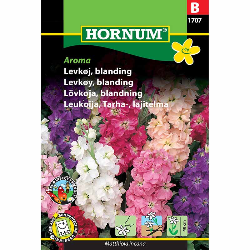 Harjaneilikka 'Aroma'