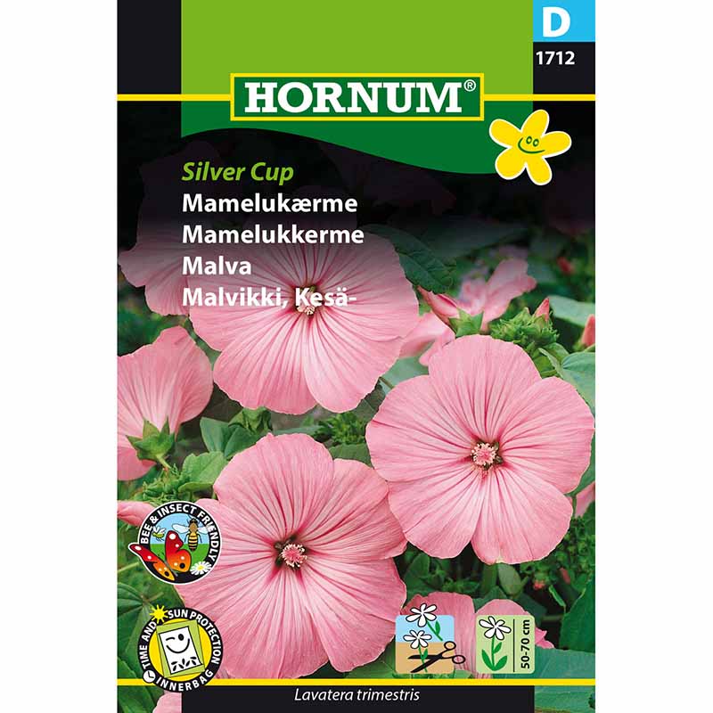 Malva 'Silver Cup'