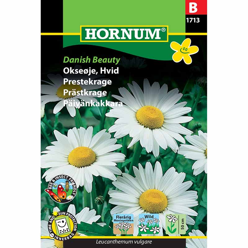 Päivänkakkara 'Danish Beauty'