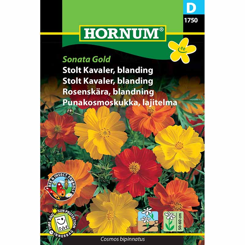Kosmoskukka 'Sonata Gold'