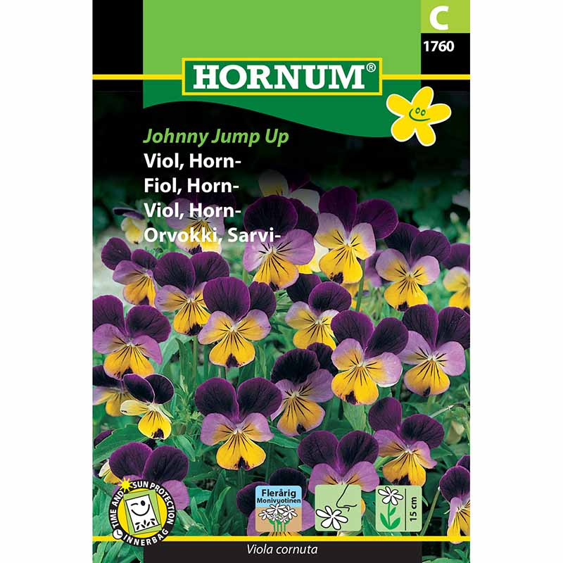 Sarviorvokki 'Johnny Jump Up'