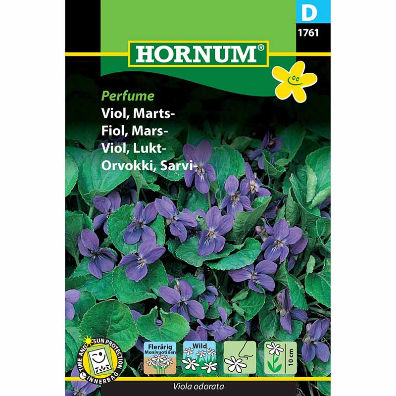 Tuoksuorvokki 'Perfume'