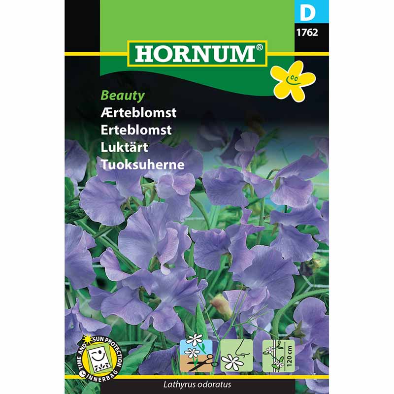 Tuoksuherne 'Beauty'