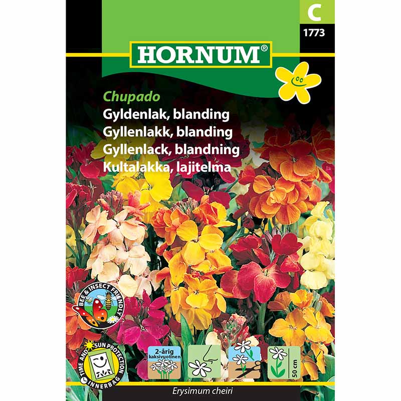 Iltakukinto 'Chupado'