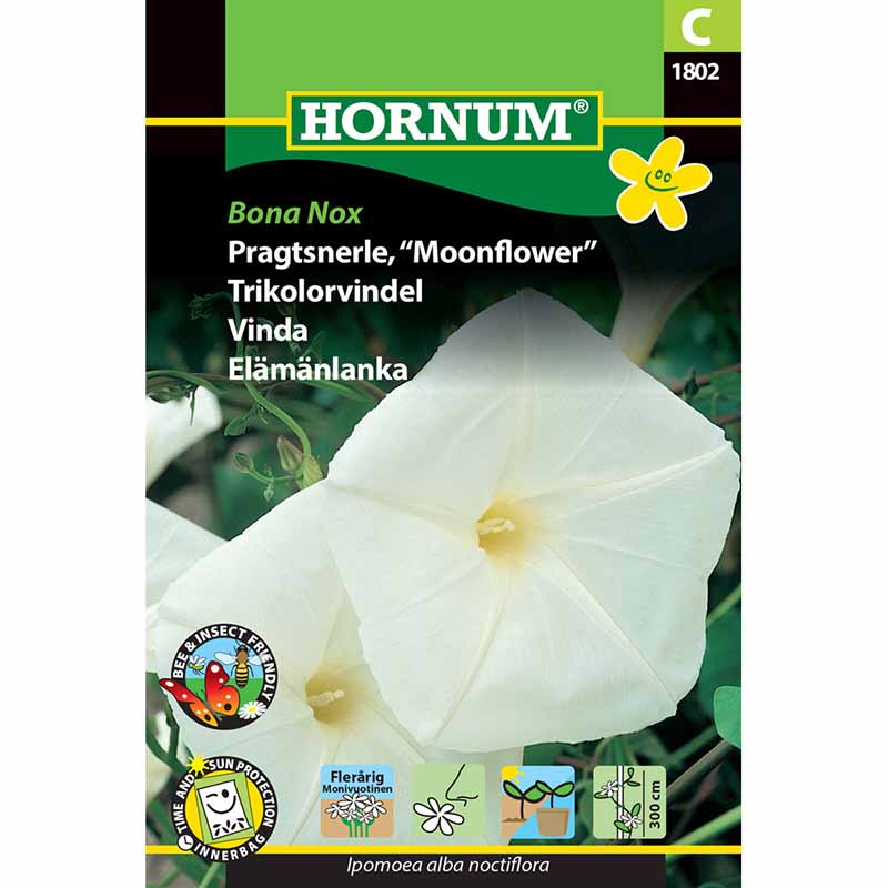 Köynnöskrassi 'Bona Nox'