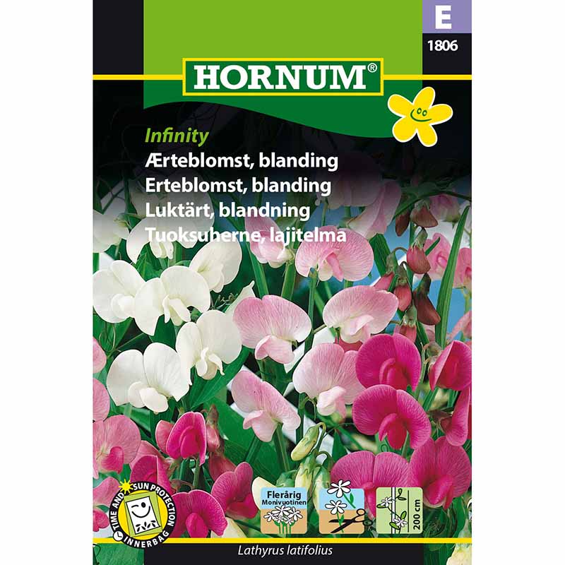 Tuoksuherne 'Infinity'
