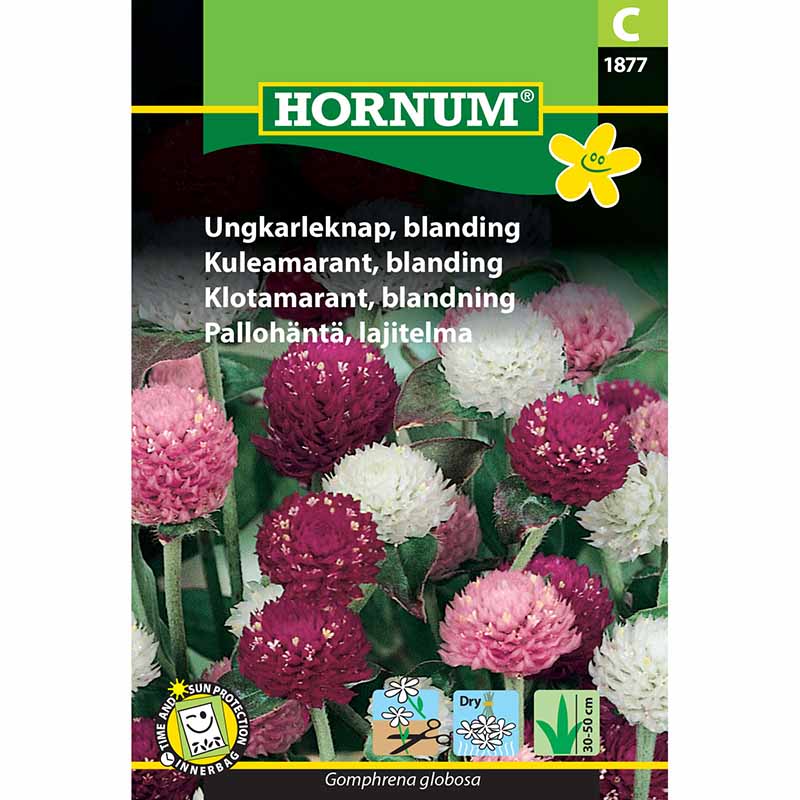 Kehäkukka 'Kehäkukka'