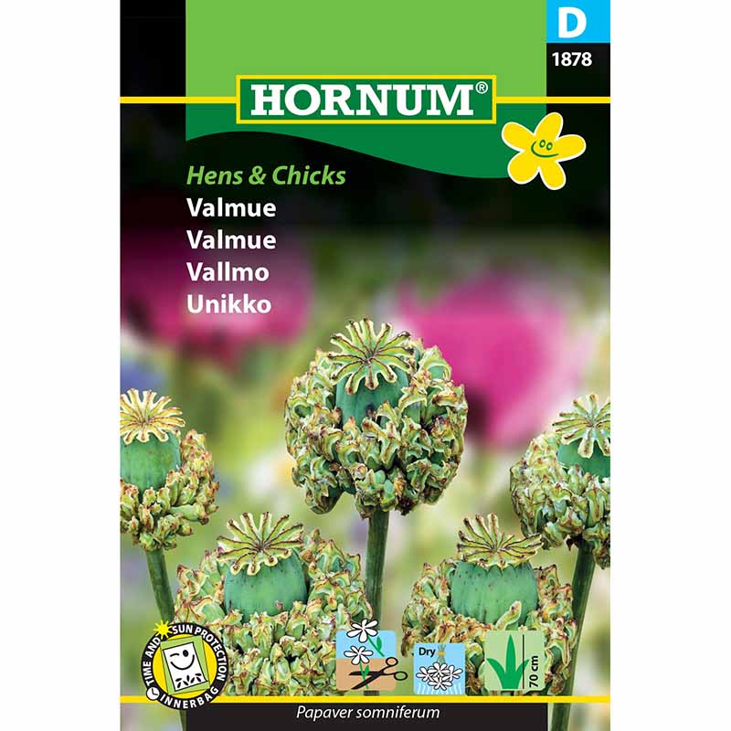 Unikko 'Hens & Chicks'