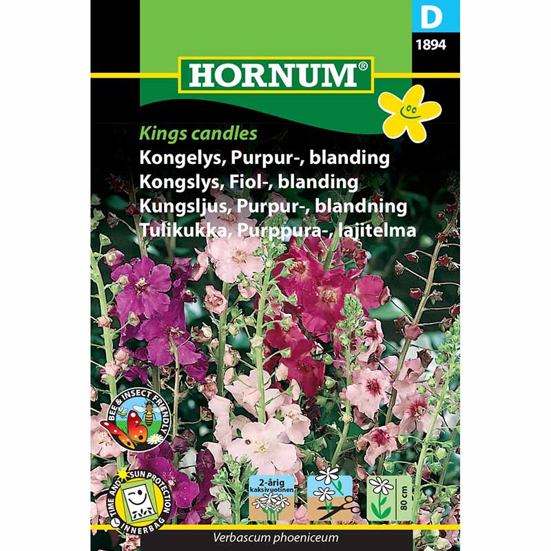 Purppurakuningaskynttilä 'Kings Candles'