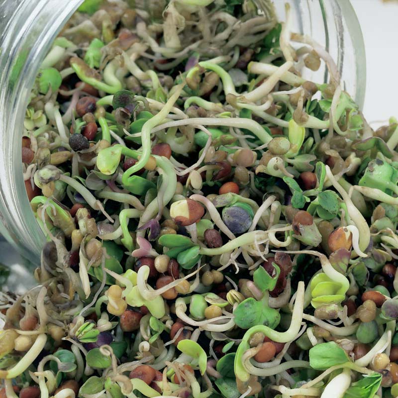 Ituja, Aasian sekoitus