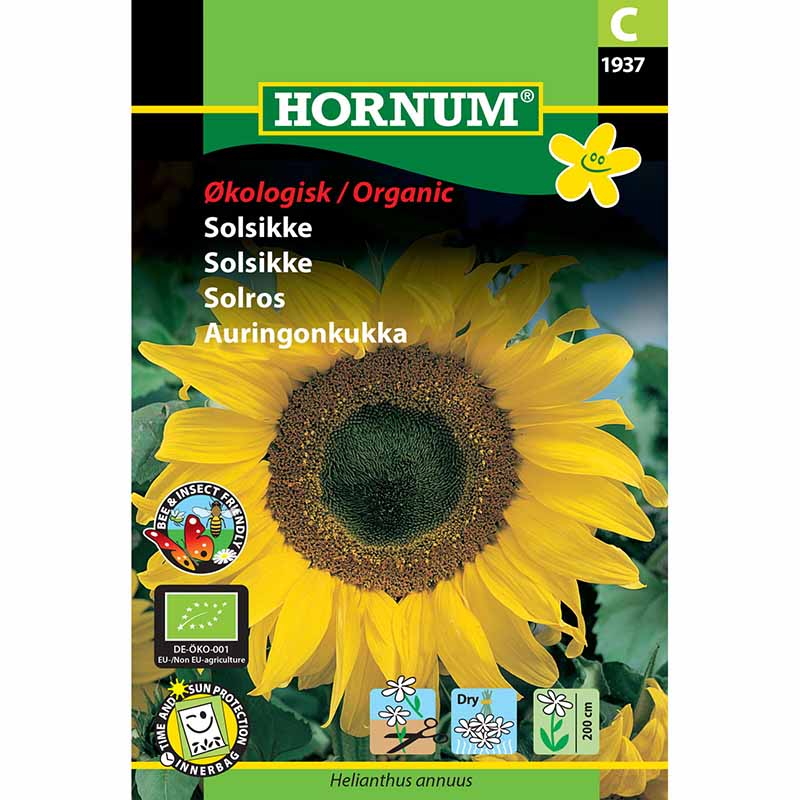 Auringonkukka 'Gelbe Riesen'