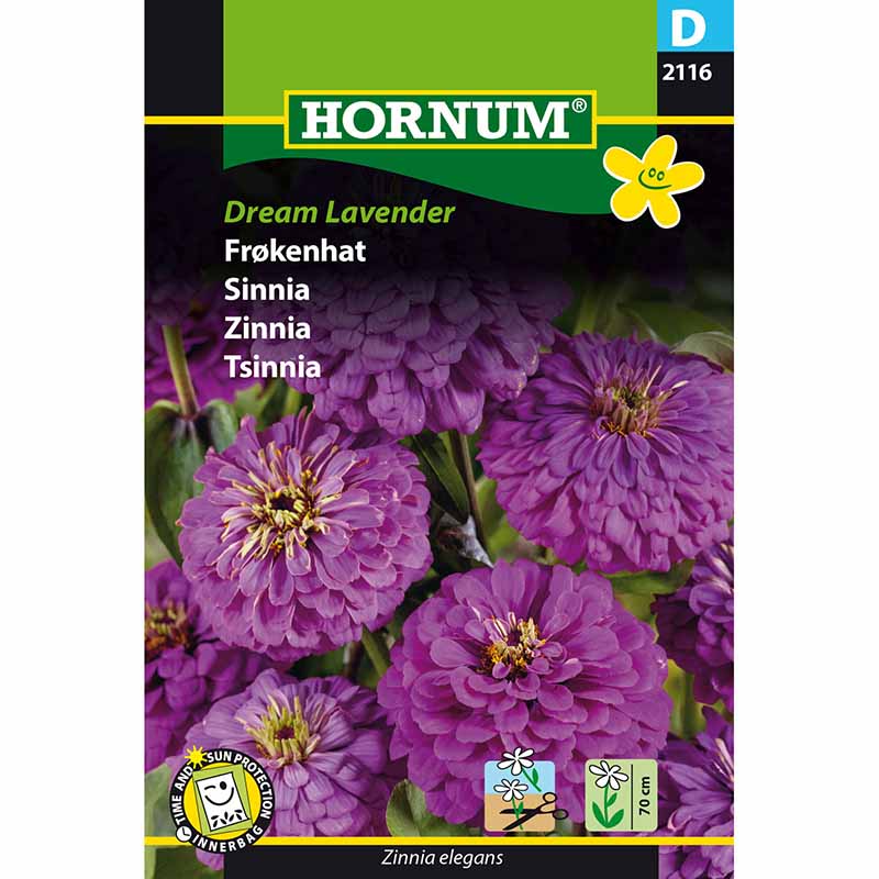 Tsinnia Dream 'Lavender'