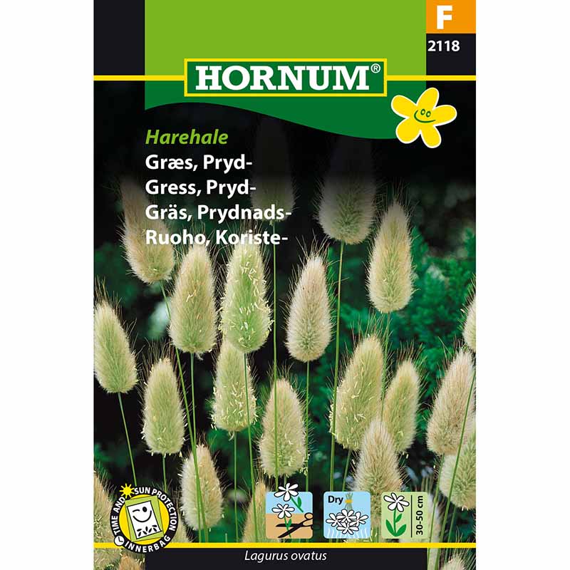 Koristeheinä 'Jäniksenhäntä'