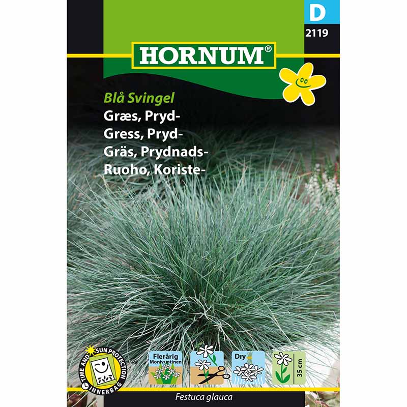 Koristeheinä Sininata