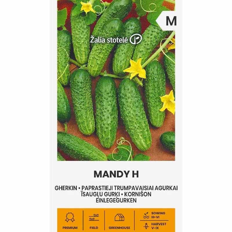 Avomaankurkku 'Mandy' F1
