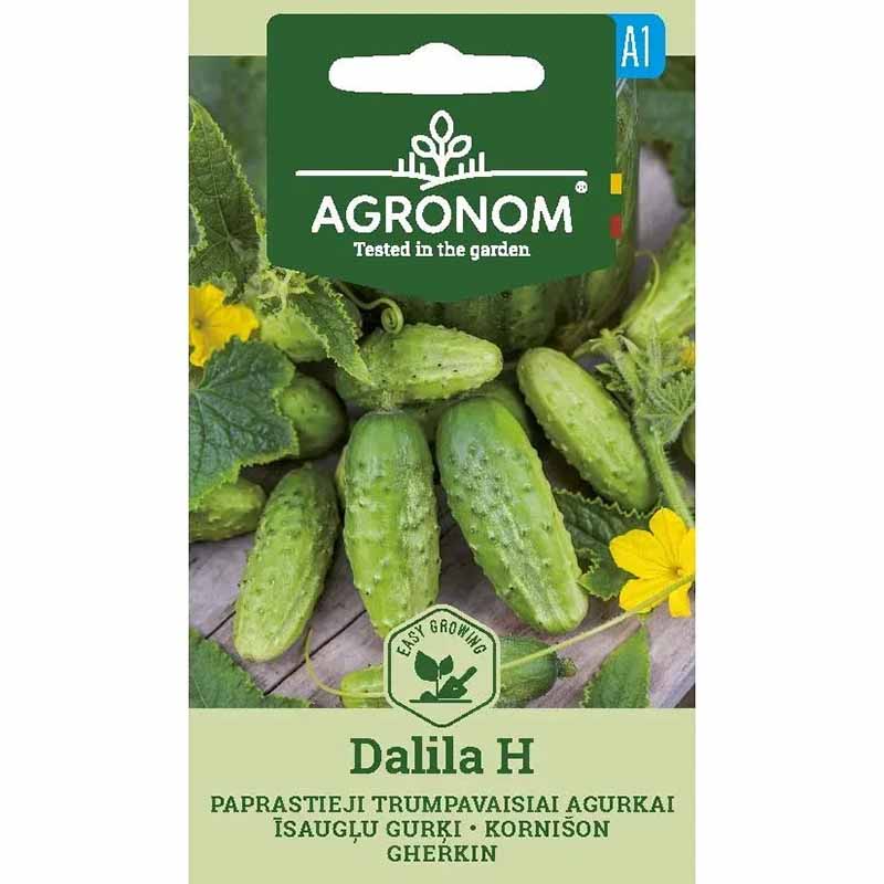 Kurkku 'Dalila' F1