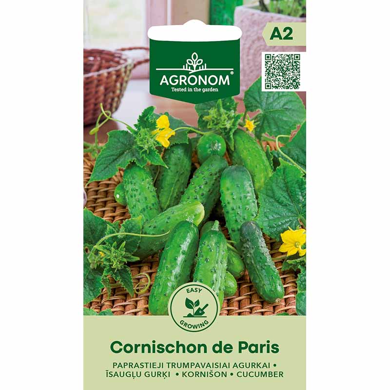 Kurkku 'Cornichon de Paris'