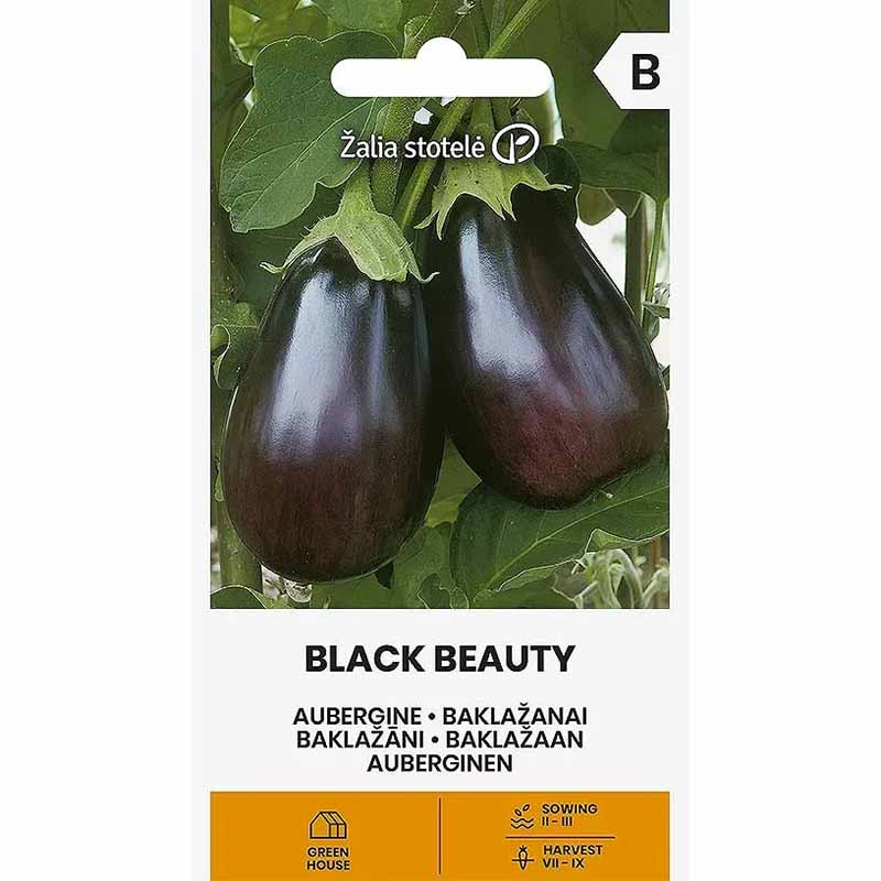 Munakoiso 'Black Beauty'