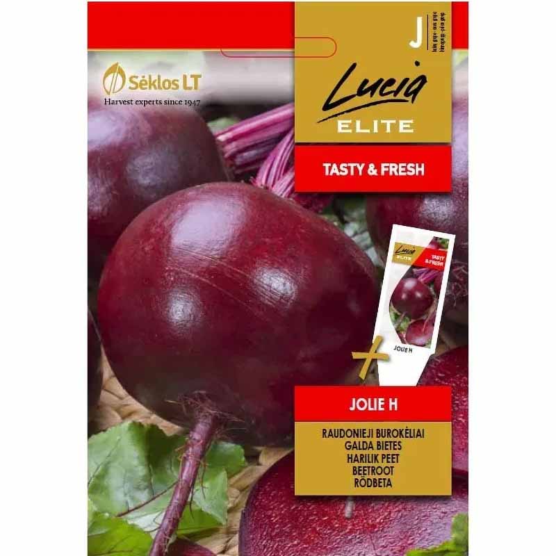 Punajuuri 'Jolie' F1