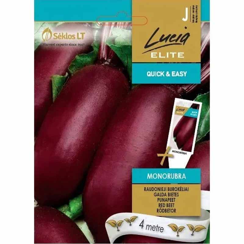 Punajuuri 'Monorubra'