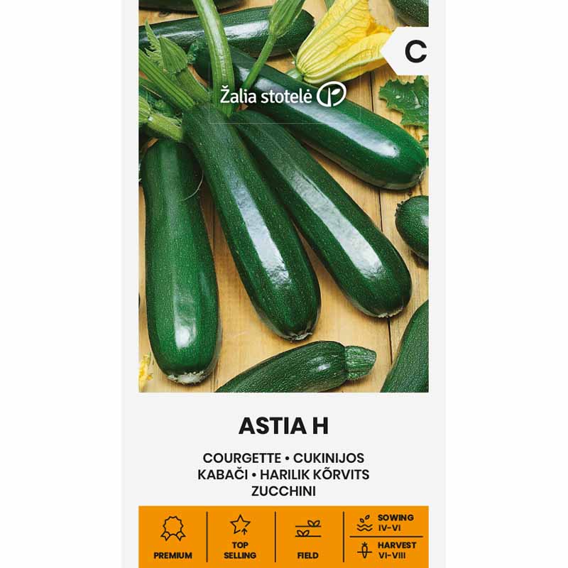 Kesäkurpitsa 'Astia' h