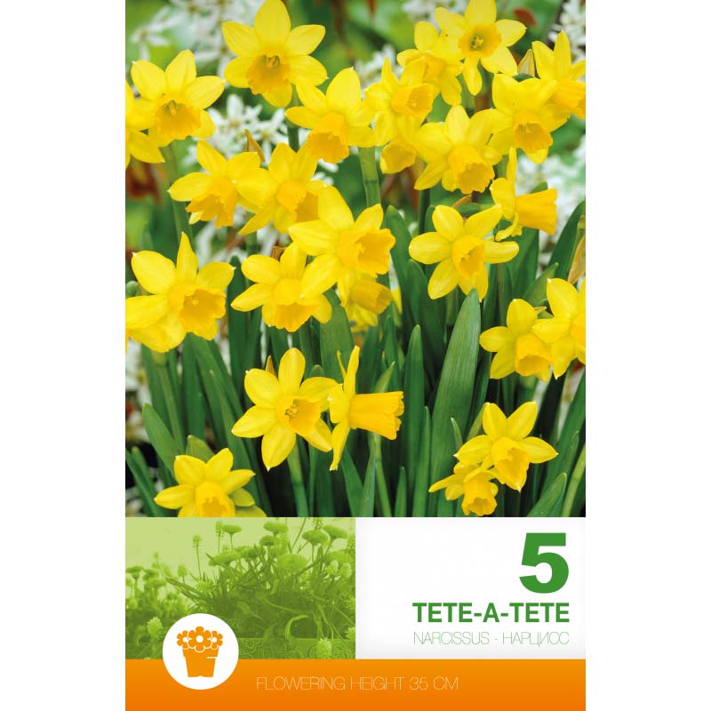 Påsklilja ’Tête-à-Tête’