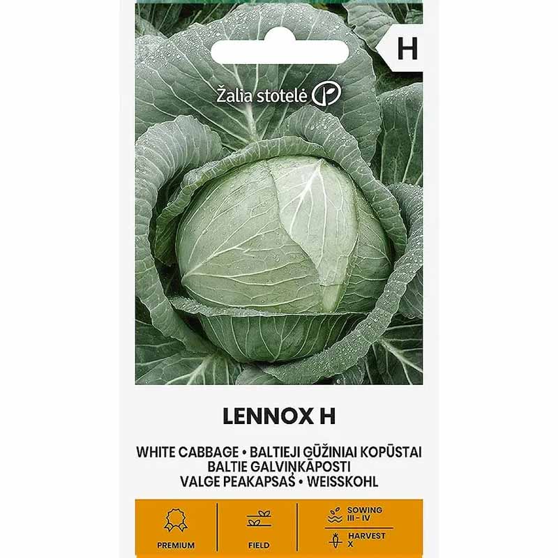 Valkokaali 'Lennox' H