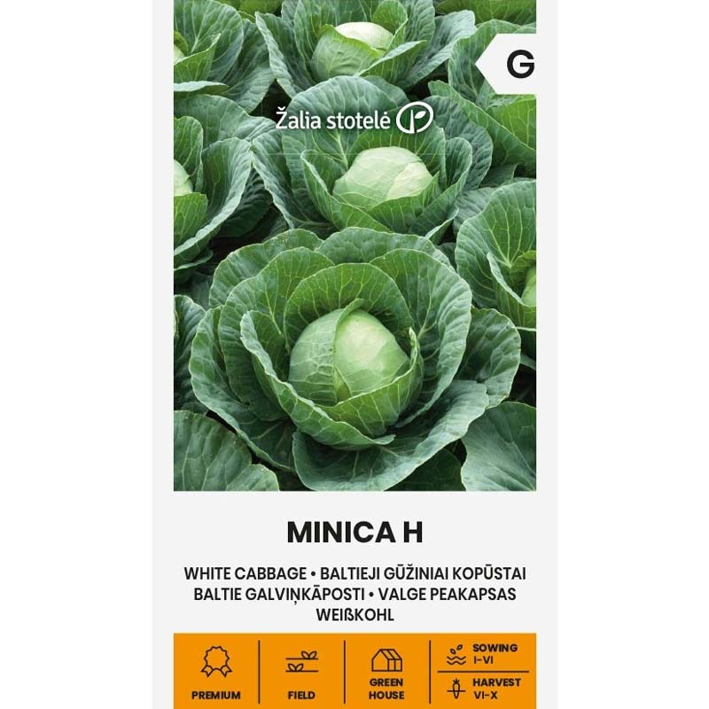 Valkokaali 'Minica' H