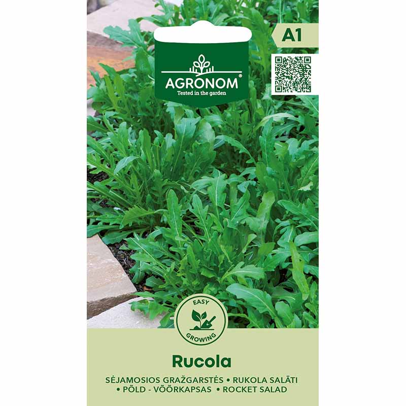 Rucola