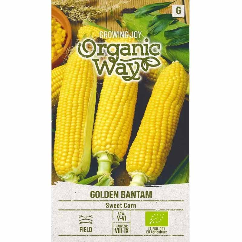 Sweet Corn 'Golden bantam'