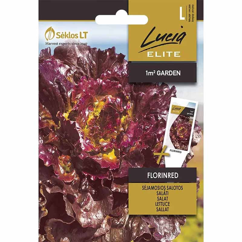 Salaatti 'Florinred'