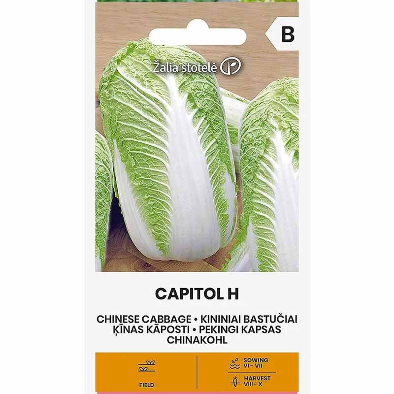 Kiínankaali 'Capitol'