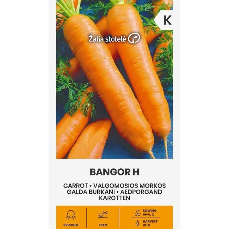 Porkkana 'Bangor' H