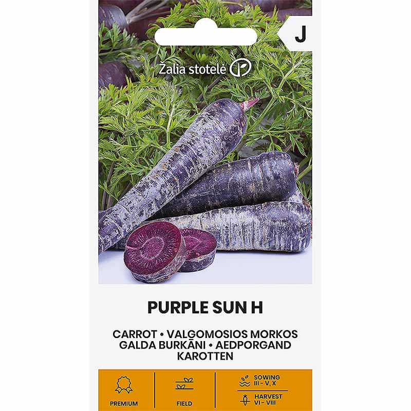 Carrot 'Purple sun' H