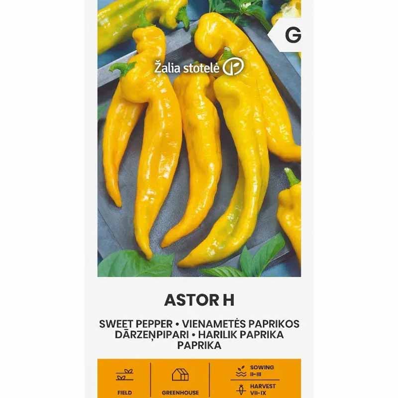Bell Pepper 'Astor' H