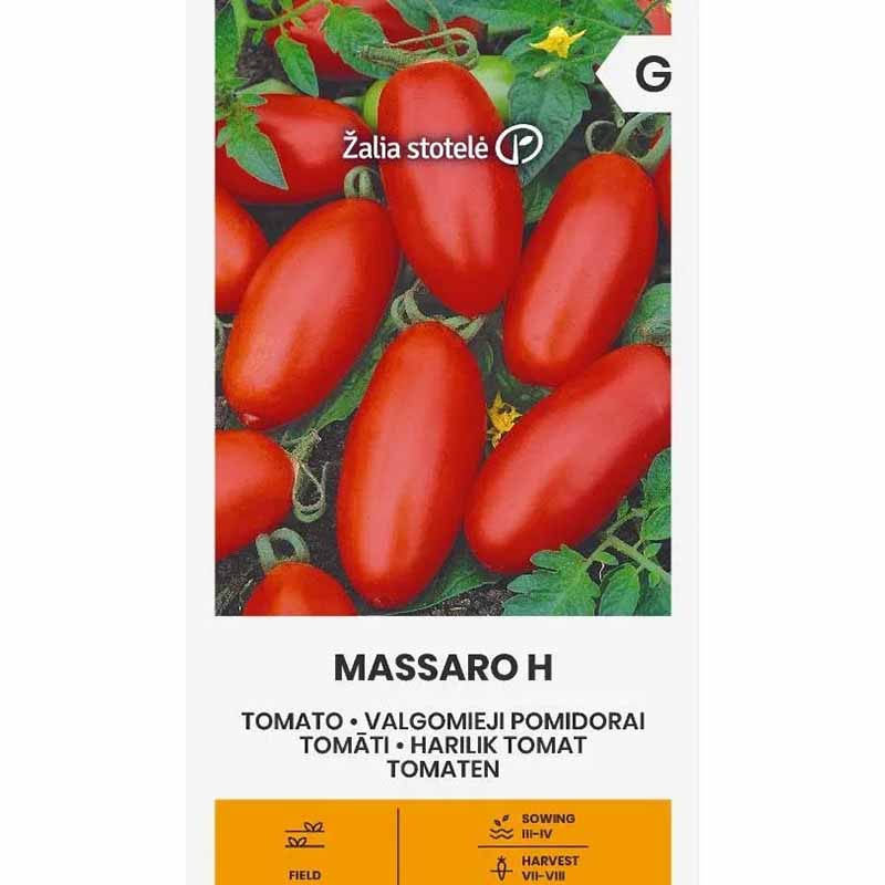 Tomato Plommontomat 'Massaro' H