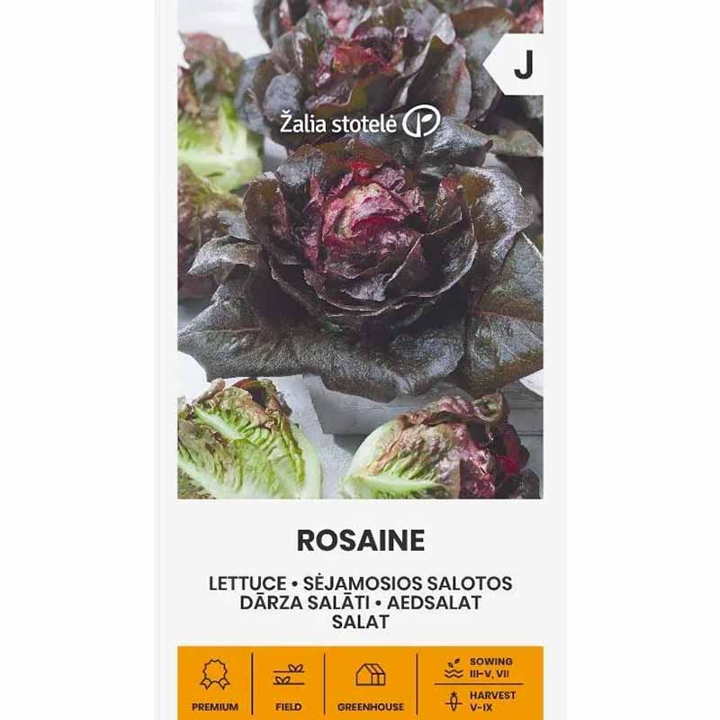 Salaatti 'Rosaine'